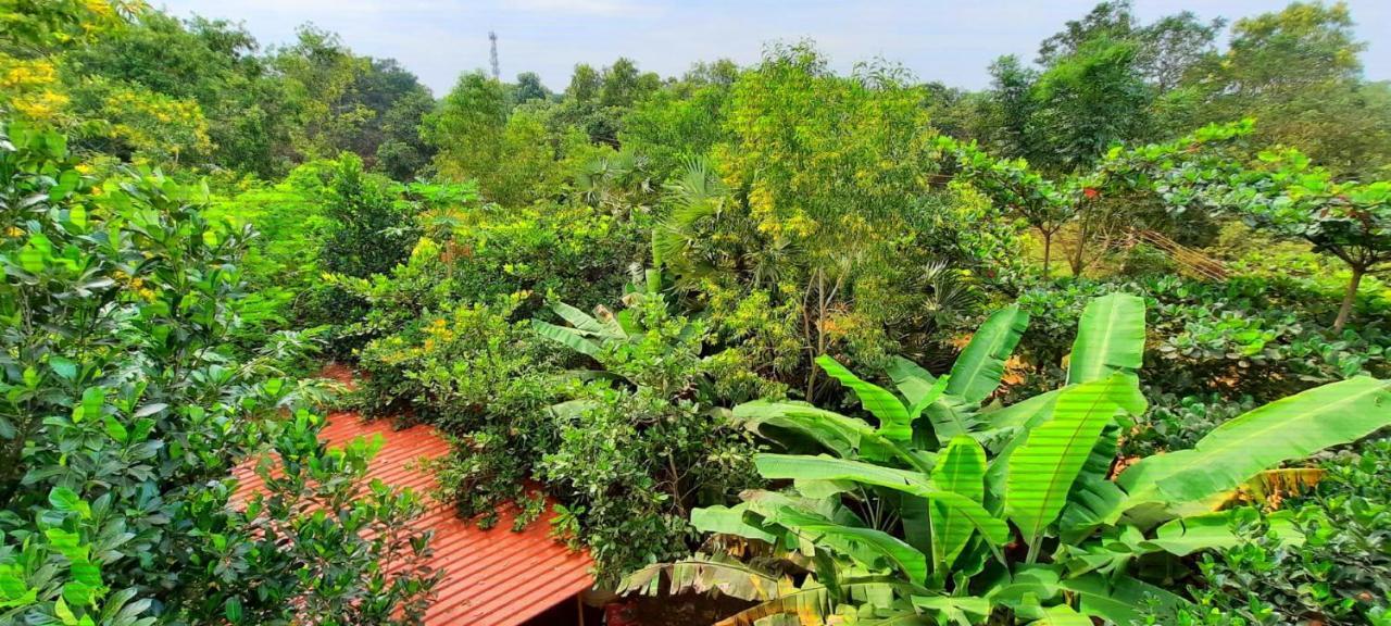 Unearth Hostel Auroville Bagian luar foto