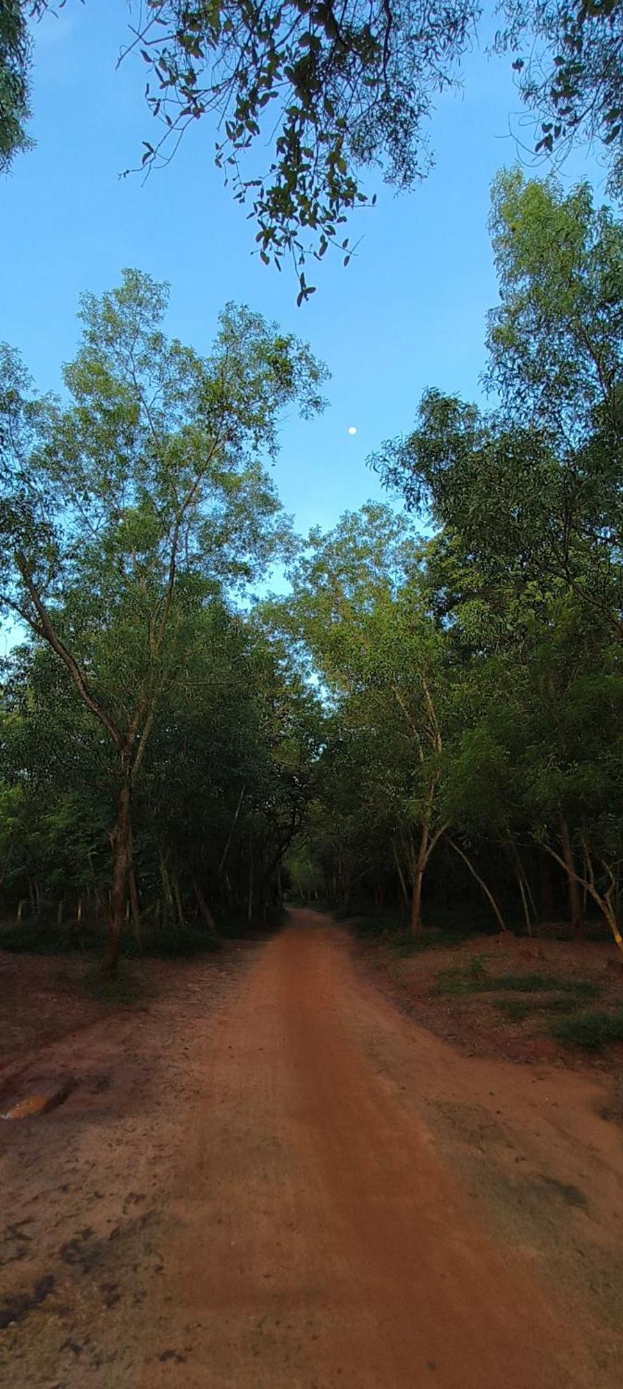 Unearth Hostel Auroville Bagian luar foto