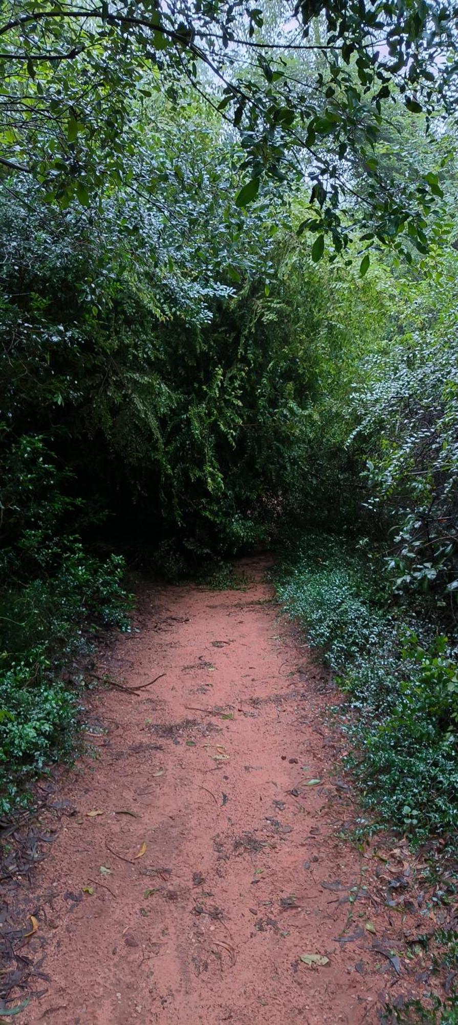 Unearth Hostel Auroville Bagian luar foto